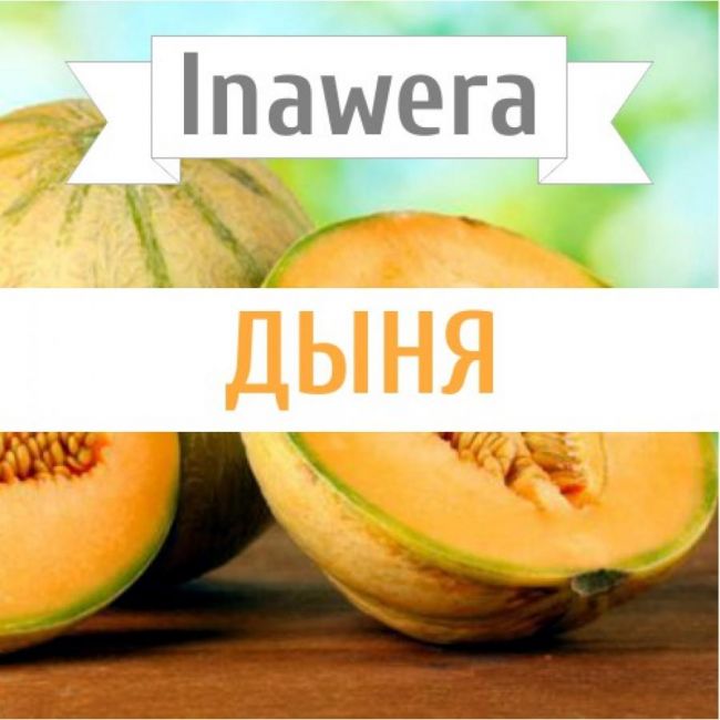 Inawera Дыня