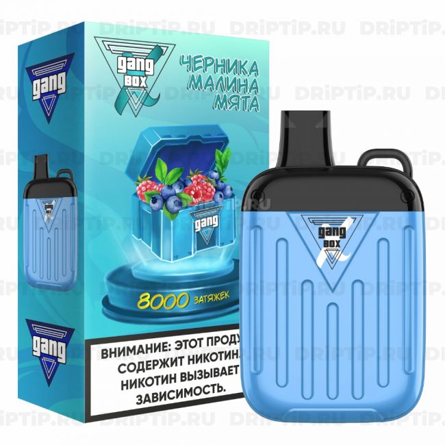 Gang Xbox 8000 - Черника Малина Мята
