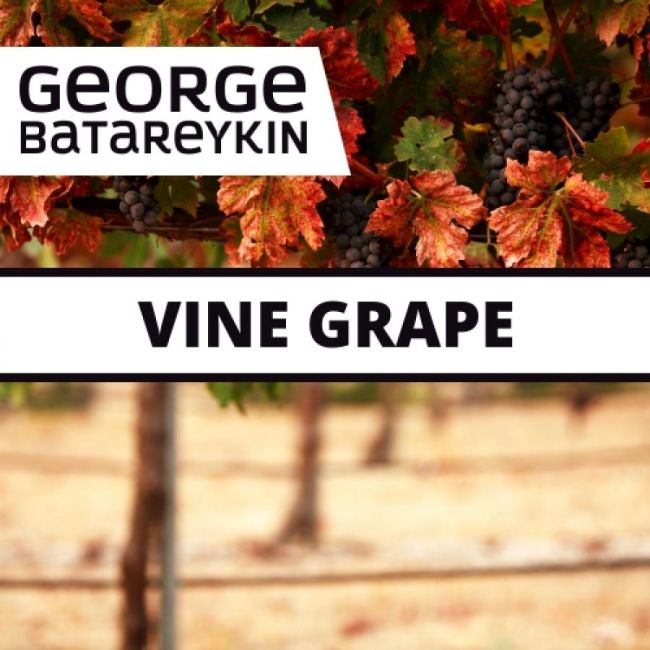 George Batareykin VINE GRAPE 10мл