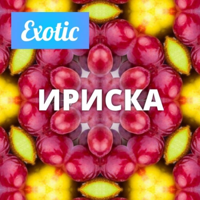 Exotic ИРИСКА 10мл