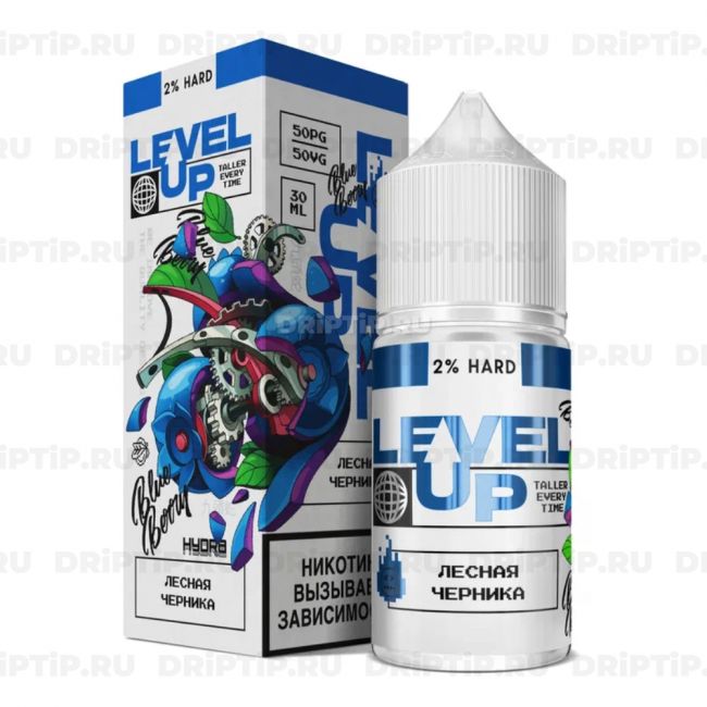 Level Up Ice Salt - Лесная Черника